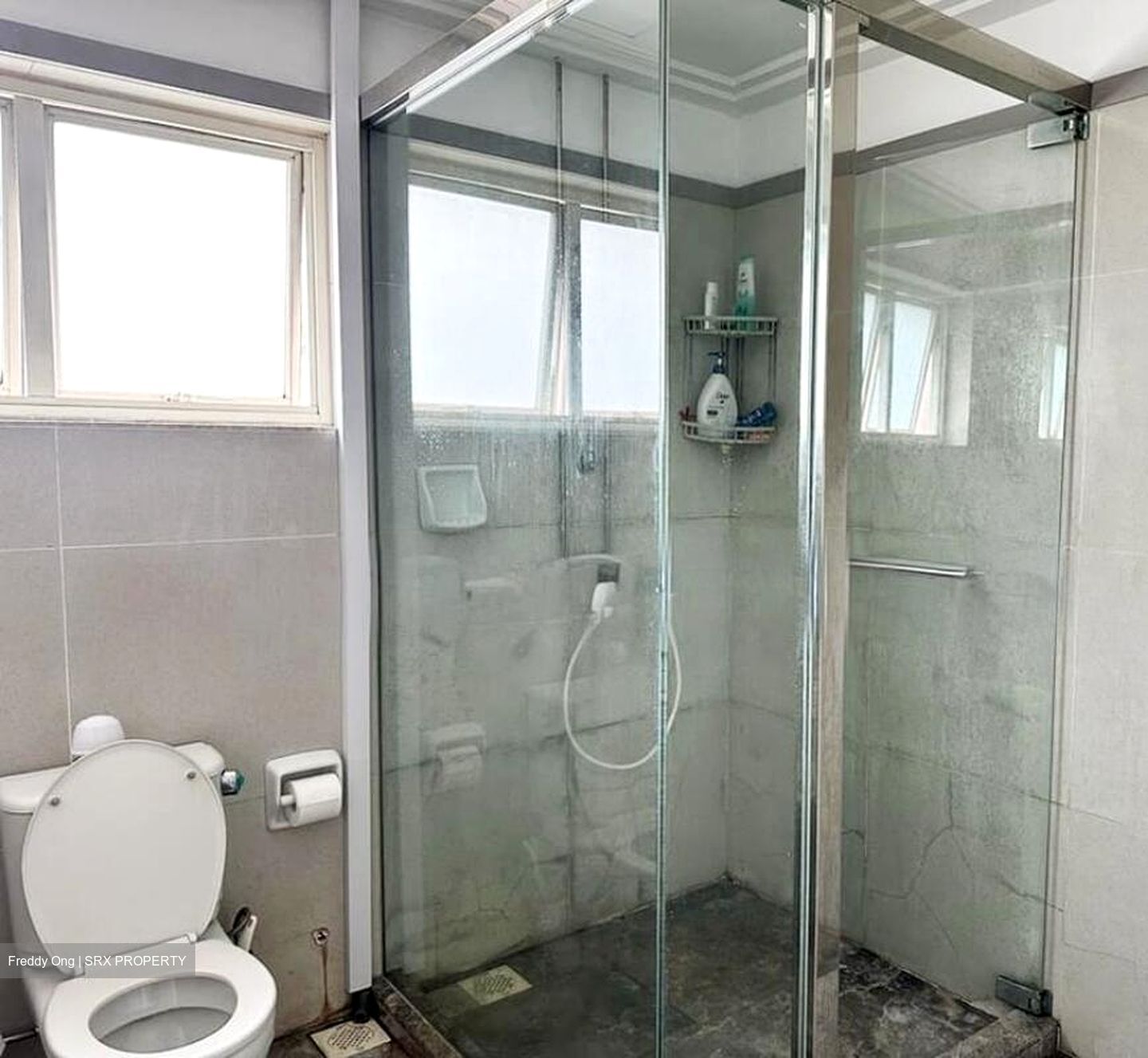 Sommerville Grandeur (D10), Condominium #525139781